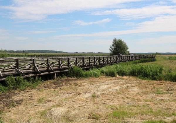 Kładka Waniewo